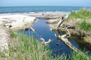 Insel Fischland/Dar&szlig;/Zingst/Barth