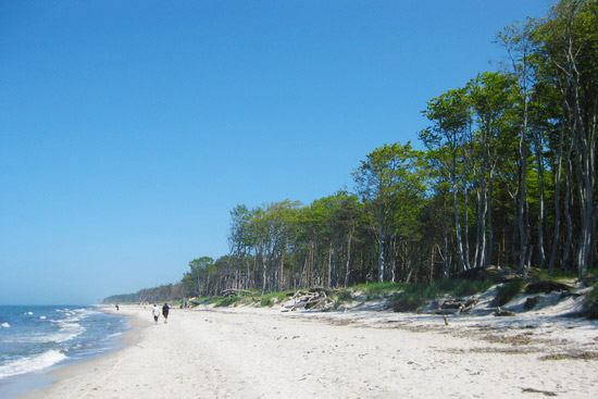Insel Fischland/Dar&szlig;/Zingst/Barth