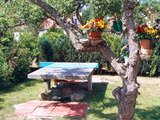 Ferienwohnung in Wieck a. Dar&szlig; - Haus Schumann - Bild 14