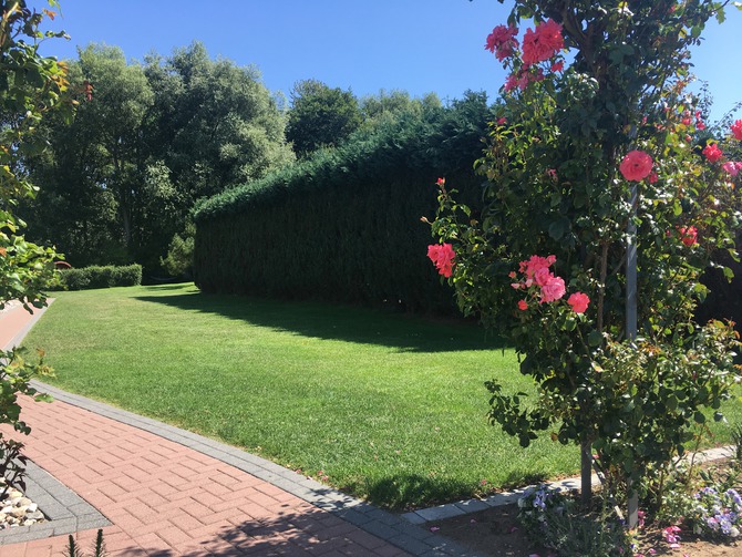 Ferienwohnung in K&auml;gsdorf - Meerblick - Aussenanlage mit gro&szlig;er Liegewiese