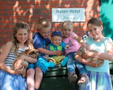 Ferienwohnung in Rettin - Ferienhof Hansen Strandhafer - Kinderspa&szlig;: die Kaninchen