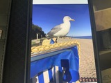 Ferienwohnung in Kellenhusen - Heidi - Bild 17