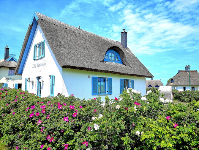Ferienhaus in Glowe - Kliff K&ouml;nigsh&ouml;rn - Bild 11