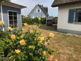 Ferienhaus in Glowe - Kliff K&ouml;nigsh&ouml;rn - Bild 12