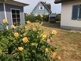 Ferienhaus in Glowe - Kliff K&ouml;nigsh&ouml;rn - Bild 23