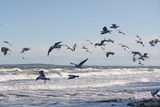 Ferienwohnung in Schwartbuck - Bromm - die M&ouml;ven an der Ostsee