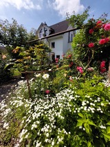 Ferienwohnung in D&ouml;hnsdorf - Haus am Steinwall - Rosengarten