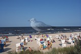 Ferienwohnung in Zinnowitz - D&uuml;nenstra&szlig;e Skibbe - Strand in unmittelbarer N&auml;he