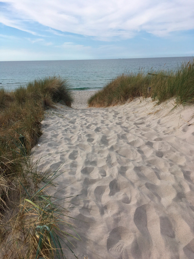 Ferienwohnung in Graal-M&uuml;ritz - Ostseeperle - Der Strand