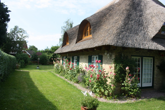 Ferienhaus in D&ouml;hnsdorf - Landhaus Unter dem Reetdach - Ansicht von S&uuml;d
