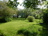 Ferienhaus in D&ouml;hnsdorf - Landhaus Unter dem Reetdach - Obstgarten
