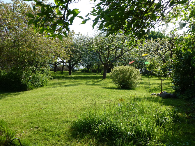 Ferienhaus in D&ouml;hnsdorf - Landhaus Unter dem Reetdach - Obstgarten