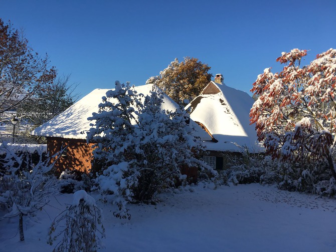 Ferienhaus in D&ouml;hnsdorf - Landhaus Unter dem Reetdach - Das Landhaus im Winter