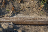 Ferienhaus in Trassenheide - Feriendomizil Kr&auml;nicke - Strand