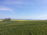 Ferienhaus in Gr&ouml;dersby - FeWo D&uuml;nung - Bild 18