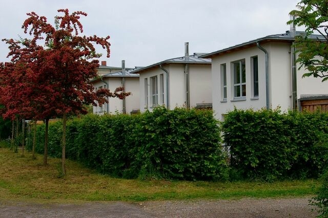 Ferienhaus in Heiligendamm - Ferienhaus in Heiligendamm mit Sauna & Kamin - Bild 20