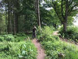 Ferienwohnung in B&uuml;nsdorf - Seerose - Bild 21