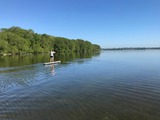 Ferienwohnung in B&uuml;nsdorf - Seerose - Bild 22