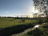 Ferienwohnung in B&uuml;nsdorf - Seestern - Bild 18