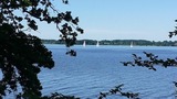 Ferienwohnung in Gro&szlig; Wittensee - Martens - Bild 22