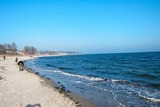 Ferienwohnung in Haffkrug - Strandl&auml;ufer - Bild 12