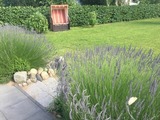 Ferienhaus in Zierow - Ambiente am Meer - Bild 6