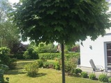 Ferienhaus in Zierow - Ambiente am Meer - Bild 9