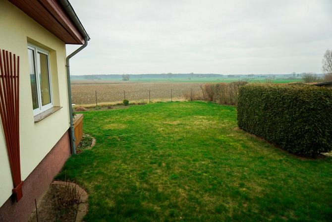 Ferienwohnung in Steinhagen - Henk - Blick aus dem Wohnzimmer &uuml;ber weite Felder