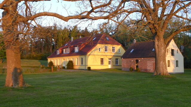 Ferienwohnung in Gingst - Gut Rattelvitz, Galerie F WEST - Bild 4