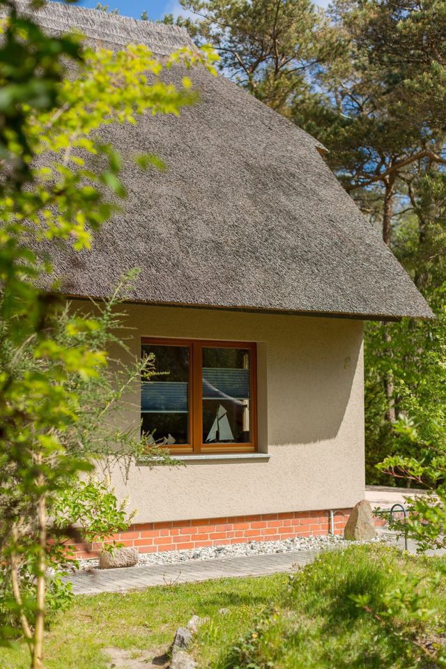 Ferienwohnung in Wustrow - reetgedecktes FH am Deich 2/2 - Bild 13