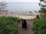 Ferienwohnung in Gollwitz - Ostsee-Schw&auml;nchen II - Bild 11