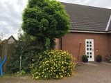 Ferienhaus in Ahrensb&ouml;k - Haus Bienenweide - Bild 1