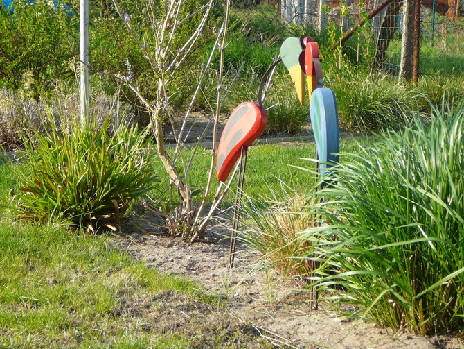 Ferienwohnung in Wieck a. Dar&szlig; - Aalreuse 2 - Blick in den Garten
