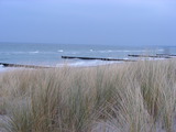 Ferienwohnung in Wieck a. Dar&szlig; - Aalreuse 2 - Strandhafer mit Holzbuhnen