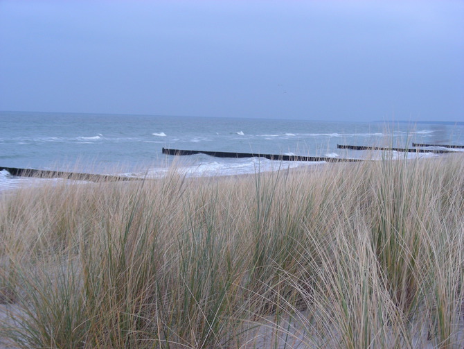 Ferienwohnung in Wieck a. Dar&szlig; - Aalreuse 2 - Strandhafer mit Holzbuhnen