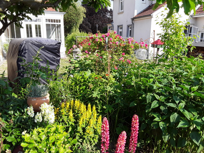 Ferienwohnung in K&uuml;hlungsborn - Ferienwohnung Haus Elly 4 - Bild 17