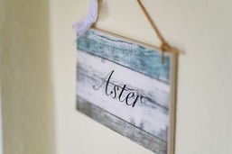 Aster