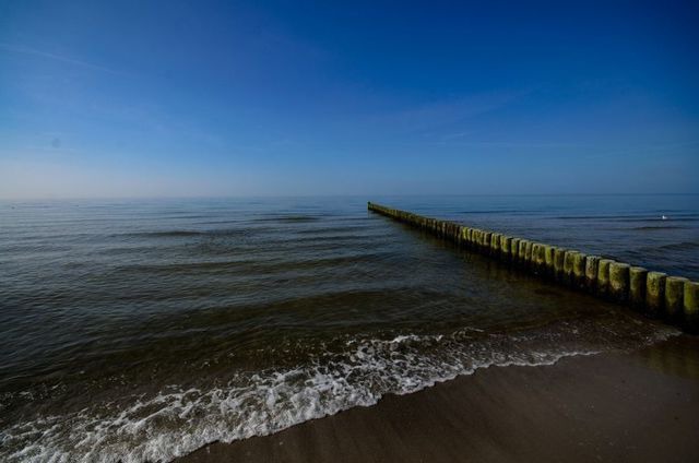 Ferienwohnung in Graal-M&uuml;ritz - Stranddistel - Bild 20