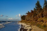 Ferienwohnung in Graal-M&uuml;ritz - Strandnelke - Bild 19