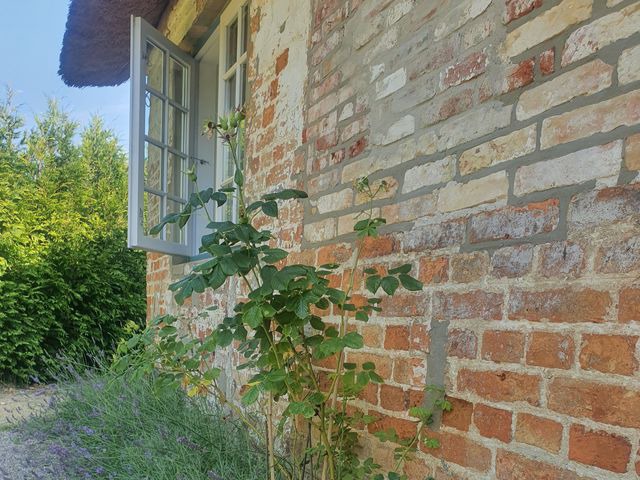 Ferienhaus in Gelting - Paulsen H&auml;uschen - Schloss Gelting - Bild 16