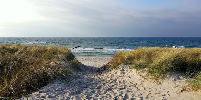 Ferienwohnung in Wustrow - Strandl&ouml;per - Bild 19