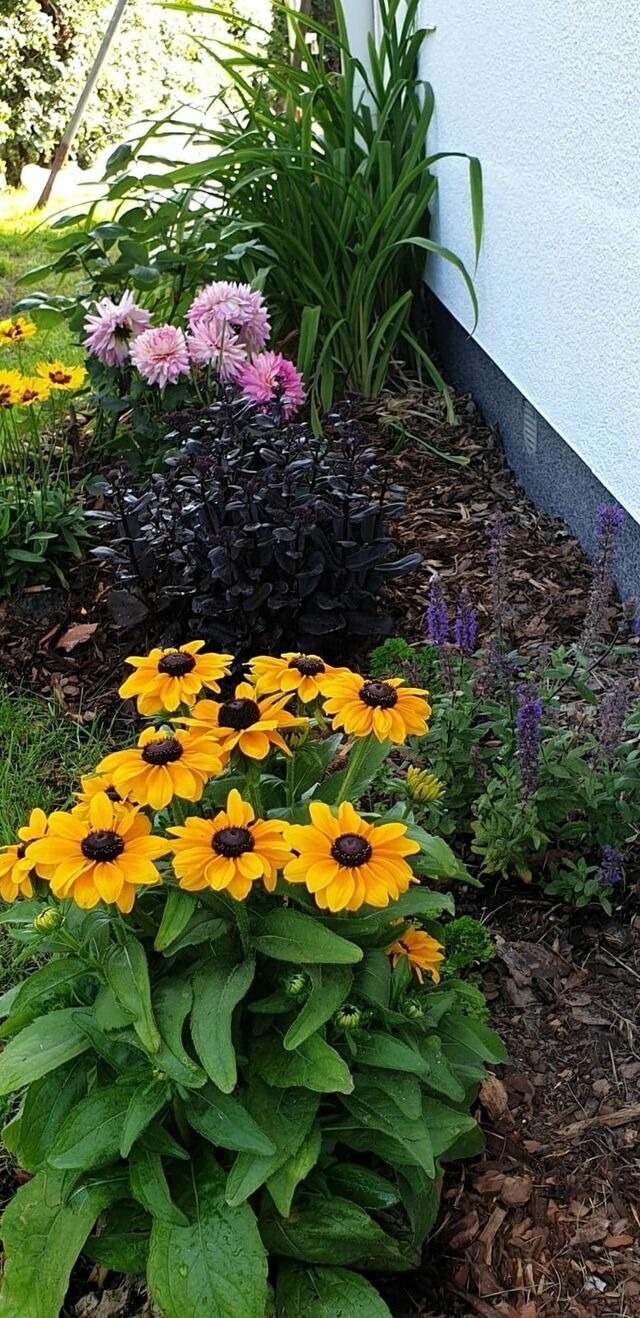 Ferienwohnung in Zingst - Strandm&ouml;we 1 - Bild 10