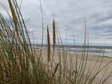 Ferienhaus in L&uuml;tow - Ostsee Ferienhaus Usedom (hundefreundlich) Familie Stopp Haus 22 - Bild 16