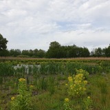 Ferienwohnung in Hornstorf OT R&uuml;ggow - Quaduxenbarg - Bild 16