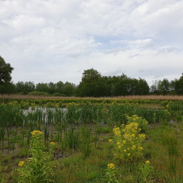 Ferienwohnung in Hornstorf OT R&uuml;ggow - Quaduxenbarg - Bild 16