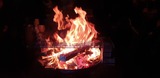 Ferienwohnung in Hornstorf OT R&uuml;ggow - Quaduxenbarg - Bild 23