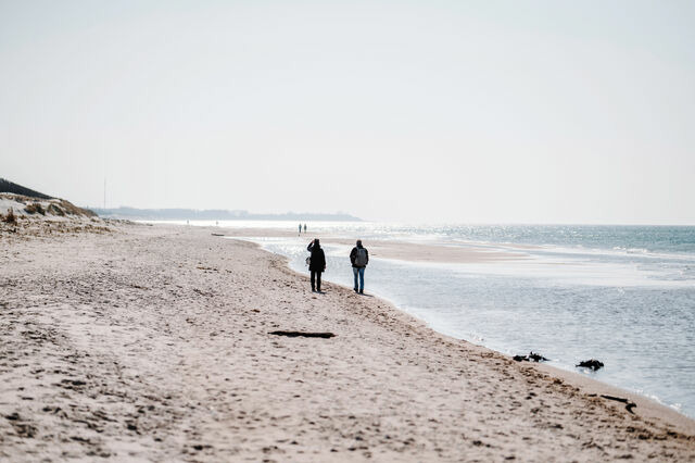Ferienwohnung in Ahrenshoop - Strandmuschel 4 - Bild 10