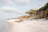 Ferienwohnung in Ahrenshoop - Strandnixe 2 - Bild 8