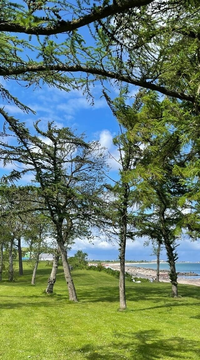 Ferienwohnung in Brodersby - Strand Ferien, Ostsee Urlaub, Ferienwohnung am Strand in Schlei N&auml;he , Umgebung von Kappeln u. Damp - Bild 13