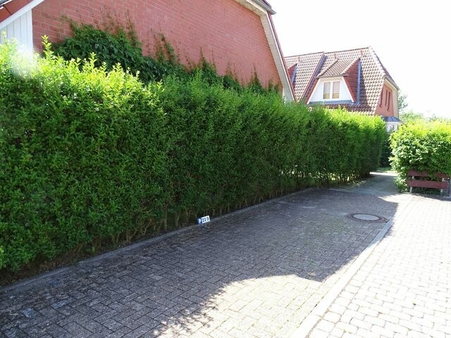 Ferienhaus in Kellenhusen - Wintersh&ouml;rn - Bild 24